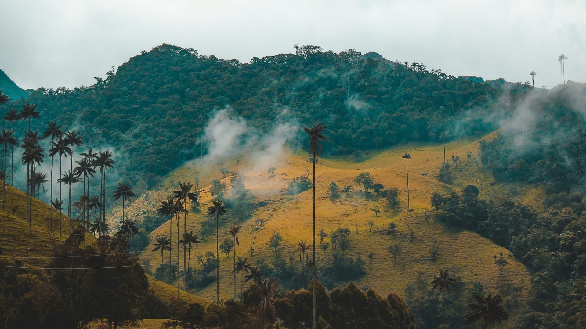 Paisaje de Colombia: freelancers en LatAm con acceso global a pagos en USD